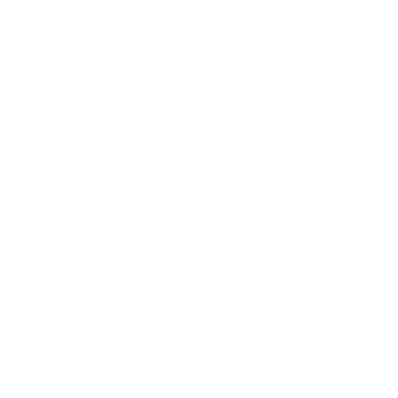 coronavirus icon