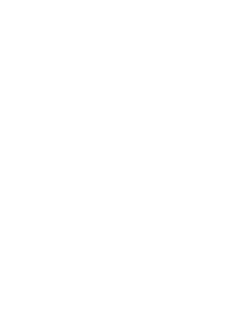 extra security padlock icon